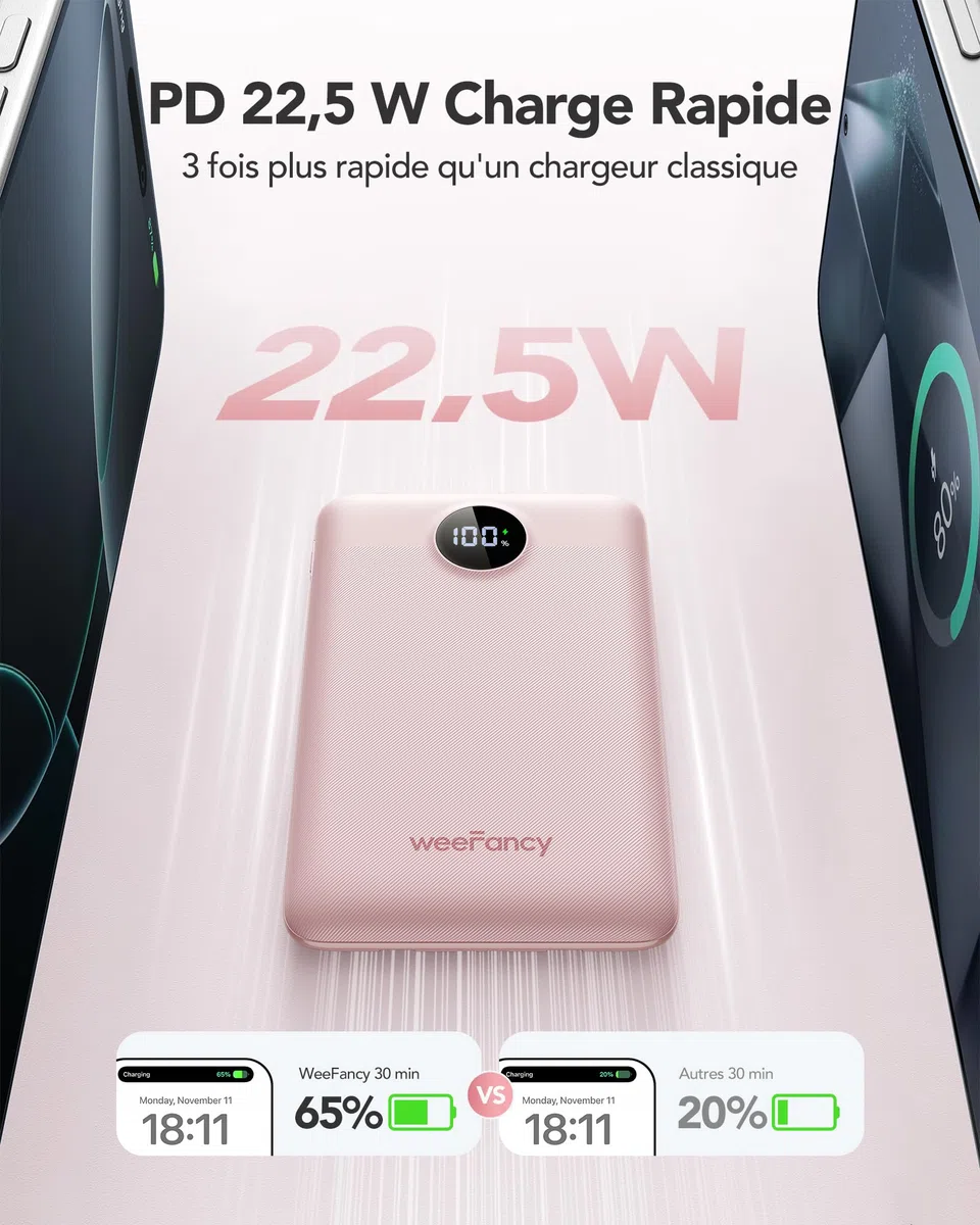 Batterie Externe 10000mAh, WeeFancy Power Bank Charge Rapide PD 22.5W avec Câbles Intégrés USB C Sortie, Mince Légère Portable Chargeur Affichage LED, Universel Compatible iPhone/Samsung (Rose)
