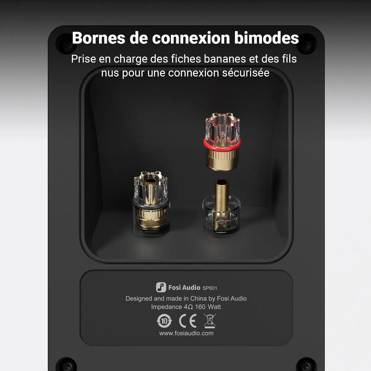 Fosi Audio SP601 Enceintes Bibliothèque, Enceinte Passives 4Ω 160W avec Woofers Composites HybridCone de 6,5 Pouces, Son Stéréo HiFi pour Home Cinéma, Bureau, TV et Intérieur (Paire)